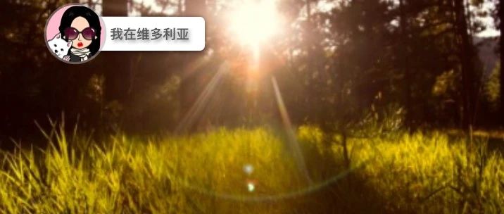 新闻 | 热!维村高温预警!两个全新匹克球场地在Uptown开业!
