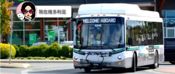 新闻|频次减少!维村公交车因机械问题大量撤回!市中心多条道路整改!