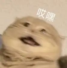 维多利亚 维多利亚
