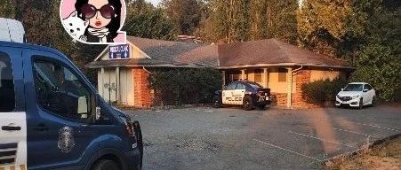 新闻｜点赞！大维警方关停一违法地下赌场！标志性灭火飞机本周将进行退役飞行！