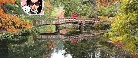 活动｜绝美～维多利亚这六个花园大家去过了吗？赶紧来打卡！