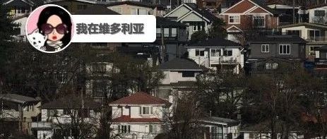 新闻｜关注！BC省允许房东将租金提高近25%！North Saanich的美食节本周末开幕