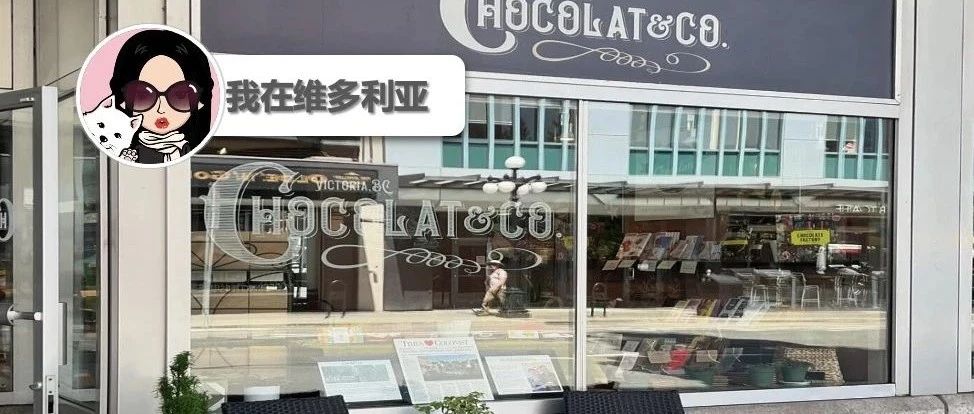 新闻｜期待～市中心下个月举办小吃巡游活动～加勒比狂欢节游行即将开幕！