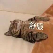 维多利亚 维多利亚