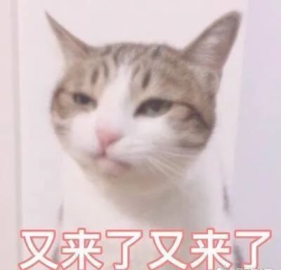 维多利亚