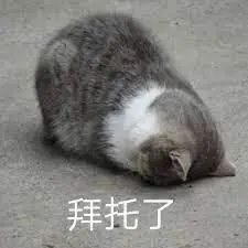 维多利亚 维多利亚