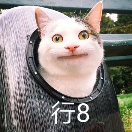 维多利亚 维多利亚