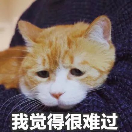 维多利亚 维多利亚