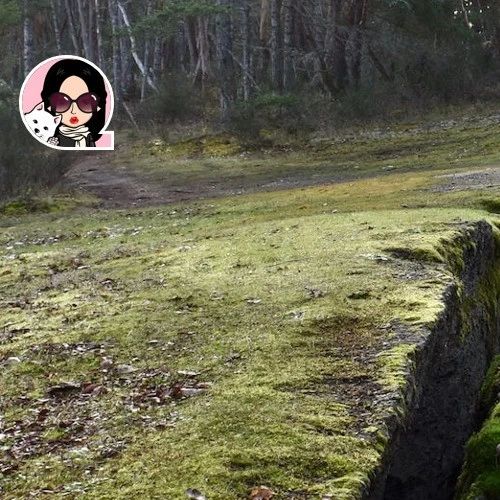 干货｜震撼！温哥华岛竟然藏着一条深不见底的神秘巨缝！胆小勿近！