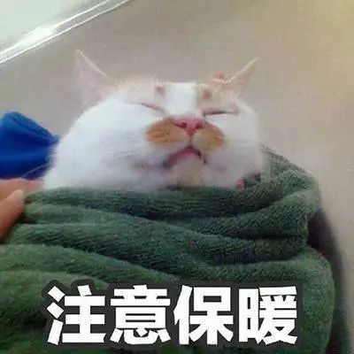 维多利亚 维多利亚