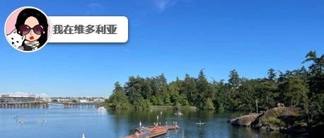 新闻｜注意！George Waterway部分区域本周关闭！维多利亚茶文化节要来啦~