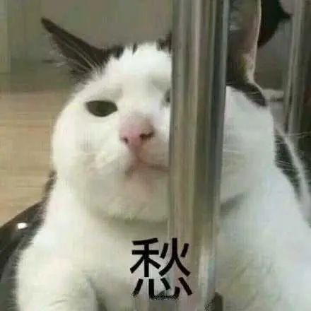 维多利亚 维多利亚