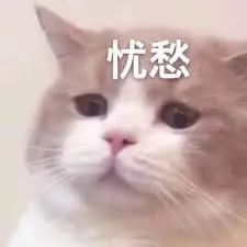 维多利亚 维多利亚