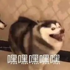 维多利亚 维多利亚