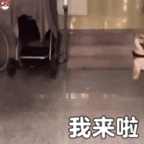 维多利亚 维多利亚