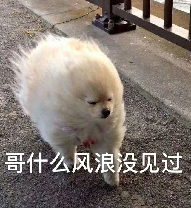 维多利亚 维多利亚