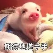 维多利亚 维多利亚