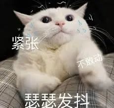 维多利亚 维多利亚