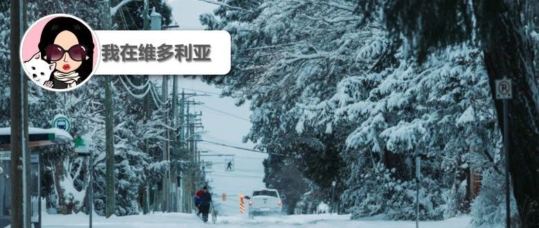 新闻|注意啦!温哥华岛迎来降雪和低温!美国加征关税在即,温哥华岛岛民如何应对?