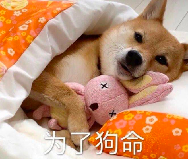 维多利亚 维多利亚
