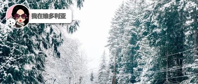 新闻|大雪警报!温哥华岛迎来两轮强降雪!BC省迎战美国关税,省长宣布反制措施!