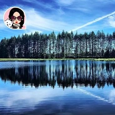干货｜来温哥华岛这座湖畔蜂场，体验养蜂、飞盘高尔夫和木桶桑拿！