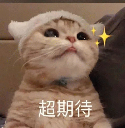 维多利亚 维多利亚