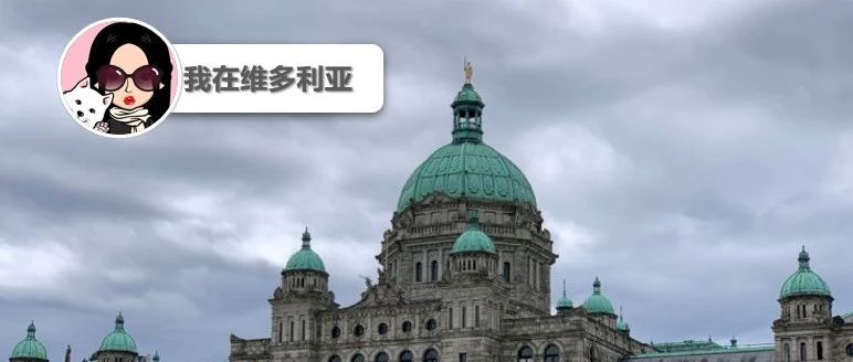 新闻|重磅!BC省2025年度预算出炉!应对美国关税,经济要挺住!维多利亚2025邮轮季开幕!